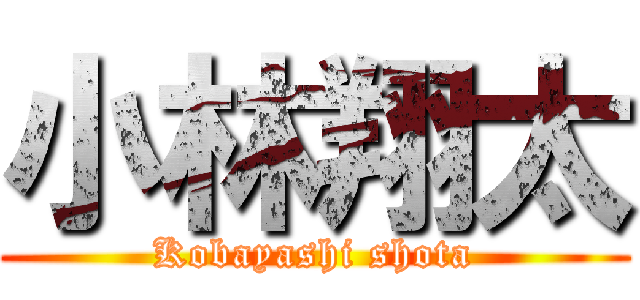 小林翔太 (Kobayashi shota)