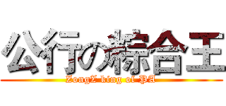 公行の粽合王 (ZongZ king of PA)