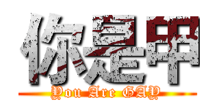 你是甲 (You Are GAY)