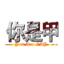 你是甲 (You Are GAY)