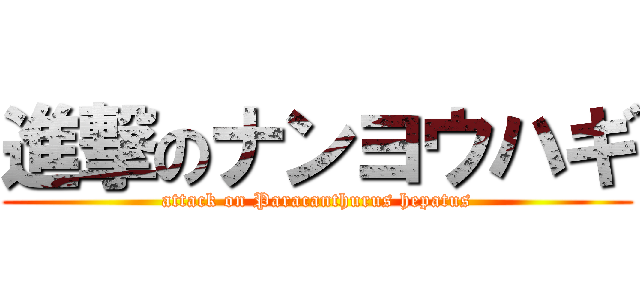 進撃のナンヨウハギ (attack on Paracanthurus hepatus)