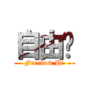 自由閪 (Freedom Hi)