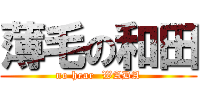 薄毛の和田 (no hear  WADA)