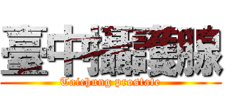 臺中攝護腺 (Taichung prostate)