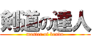 剣道の達人 (master of kendo)