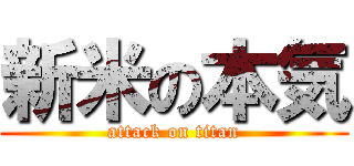 新米の本気 (attack on titan)