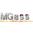 ＭＧａｓｓ  (The Best)