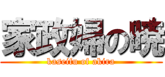 家政婦の暁 (kaseifu of akira)