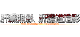 肝臟照影、肝膽道造影 (Liver imaging、hepatobiliary imaging)