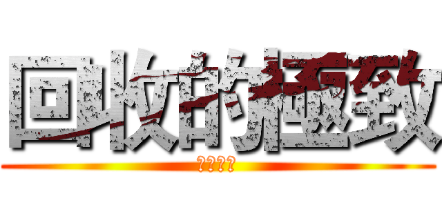 回收的極致 (循環經濟)