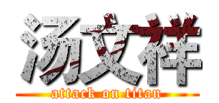 汤文祥 (attack on titan)