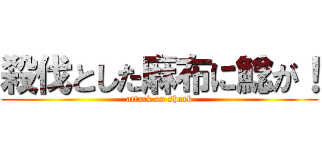 殺伐とした麻布に鯰が！ (attack on shark)