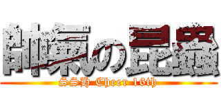 帥氣の昆蟲 (SSH Cheer 16th)