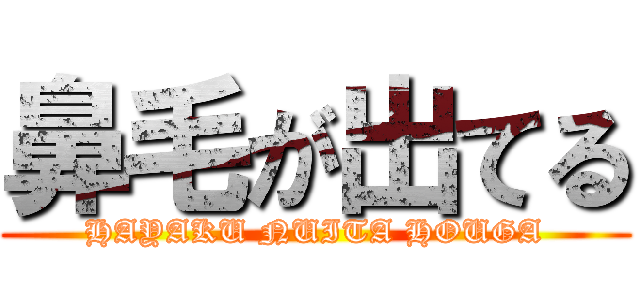 鼻毛が出てる (HAYAKU NUITA HOUGA)