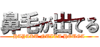 鼻毛が出てる (HAYAKU NUITA HOUGA)