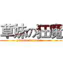 草妹の狂魔 (yimodo daisuki ~)