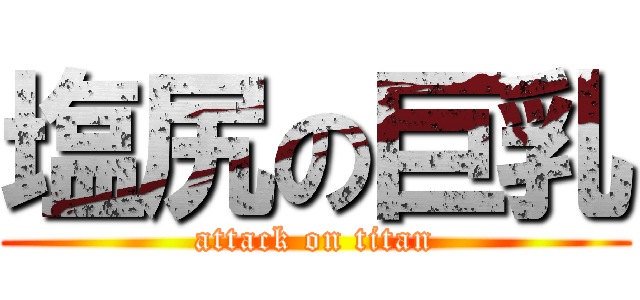 塩尻の巨乳 (attack on titan)