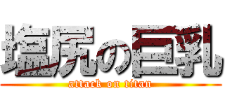 塩尻の巨乳 (attack on titan)