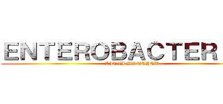 ＥＮＴＥＲＯＢＡＣＴＥＲＩＡＳ (LITZI SANCHEZ )