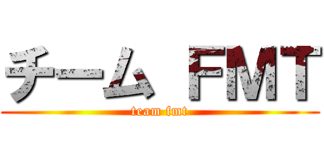 チーム ＦＭＴ (team fmt)