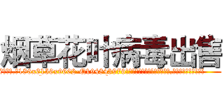 烟草花叶病毒出售 (烟草花叶病毒出售【电.话186x0156x9662-Q194843976林氏药业】我们做的是长期生意,靠的是老客户长期支持
参考消息网2月20日报道 韩媒称，“剩女多、离婚率高的城市，房价一定会上涨。”这是中国经济学家金岩石2016年12月参加在上海举行的房地产相关论坛时说的话。
)