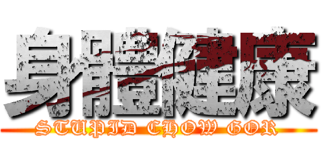身體健康 (STUPID CHOW GOR)