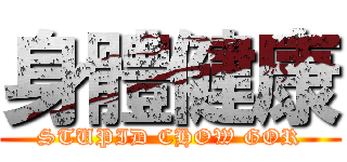 身體健康 (STUPID CHOW GOR)