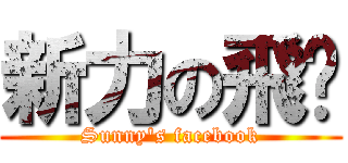 新力の飛扑 (Sunny\'s facebook)