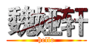 魏娅轩 (hello)