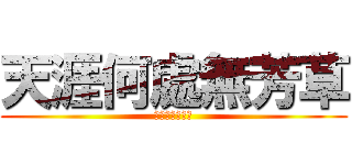 天涯何處無芳草 (何必單戀一枝花)