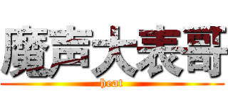 魔声大表哥 (heat)