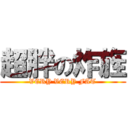 超胖の炸旌 (VERY VERY FAT)