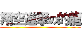 翔空進撃の的龍 ()