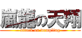 嵐龍の天翔 (attack on dumpling)