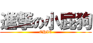 進撃の小屁狗 (CHIC)