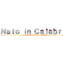 Ｎａｔｏ ｉｎ Ｃａｌａｂｒｉａ (Vita rovinata)