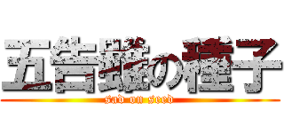 五告雖の種子 (sad on seed)