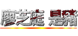 廖芝庭 是豬 ()