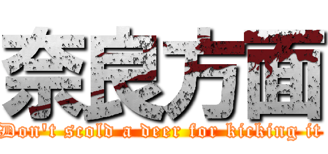 奈良方面 (Don't scold a deer for kicking it)