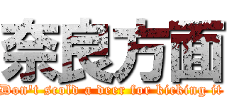 奈良方面 (Don't scold a deer for kicking it)