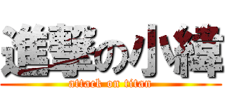 進撃の小緯 (attack on titan)