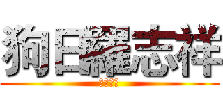 狗日羅志祥 (羅曉敏字)