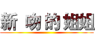 新  吻 的 姐姐 ( )