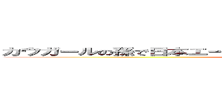 カウガールの孫で日本エースピジョン全国２位" スーパーガール" (attack on titan)