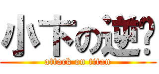 小卞の逆袭 (attack on titan)