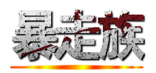 暴走族 ()