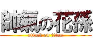 帥氣の花孫 (attack on titan)