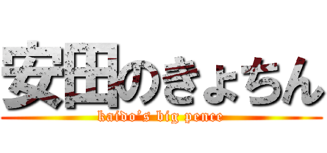 安田のきょちん (kaido’s big pence)