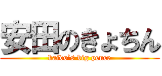 安田のきょちん (kaido’s big pence)
