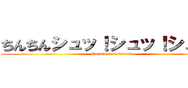 ちんちんシュッ！シュッ！シュッ！ (Carnival of miracle)